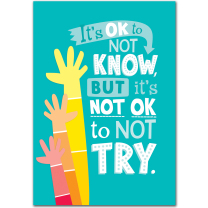 It's OK to Not Know Poster