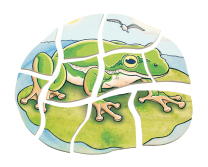 Layered Frog Puzzle