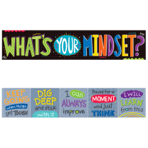 What's Your Mindset Banner (2-sided)