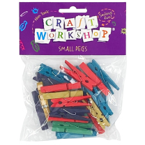 Coloured Mini Wooden Pegs - Pack of 22