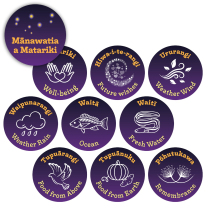 Iwa Whētu o Matariki Stickers