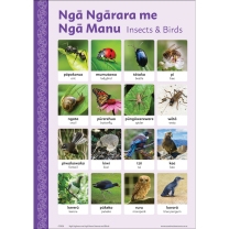 Ngā Ngārara and Ngā Manu - Insects and Birds Bilingual Chart