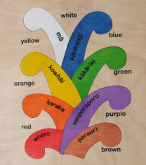 Coloured Koru Wooden Puzzle