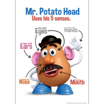 Mr Potato Head 5 Senses Poster