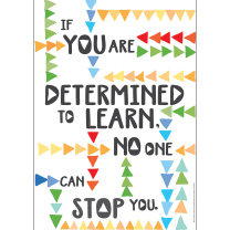 Determined to Learn Poster