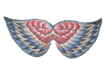 Kea Bird Wings