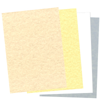 Parchment Paper: 100 sheets - 176gsm