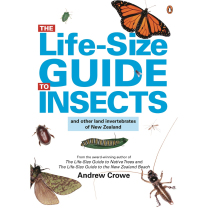 The Life Size Guide to Insects & Other Land Invertebrates of New Zealand Book