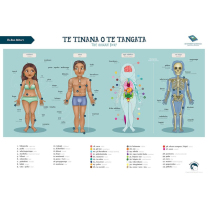 Te Tinana o te Tangata (The Human Body) Chart